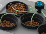 Automated Hydroponics System